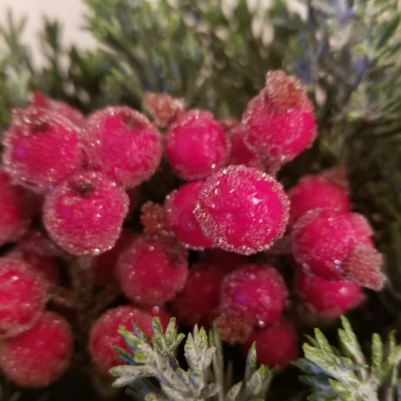 New Frosted Berry Fern Wreath - Picture 4 of 9